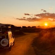 Keňa safari národní park Tsavo