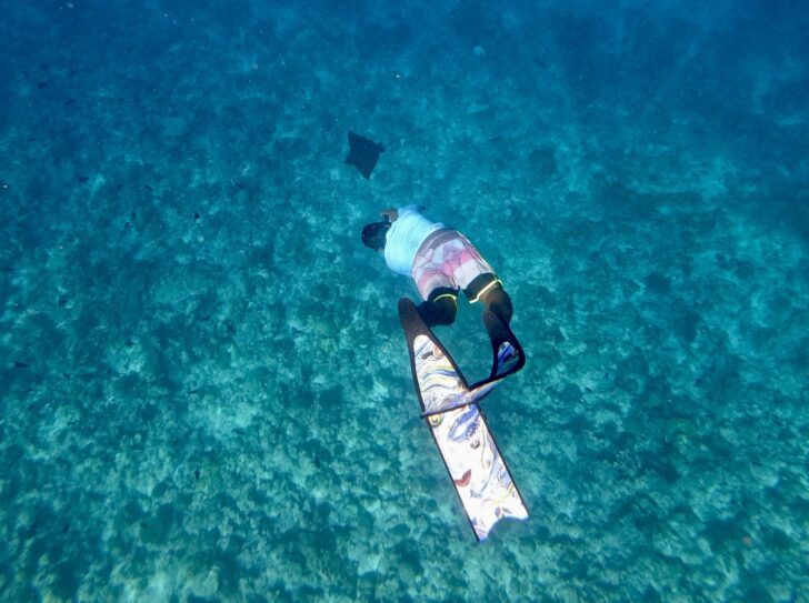 Maledivy šnorchlování South Ari atoll